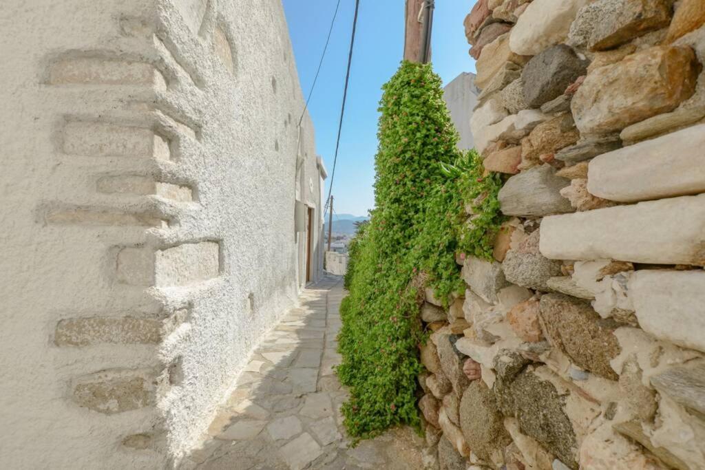 Traditional Castle House II Naxos City Exterior foto